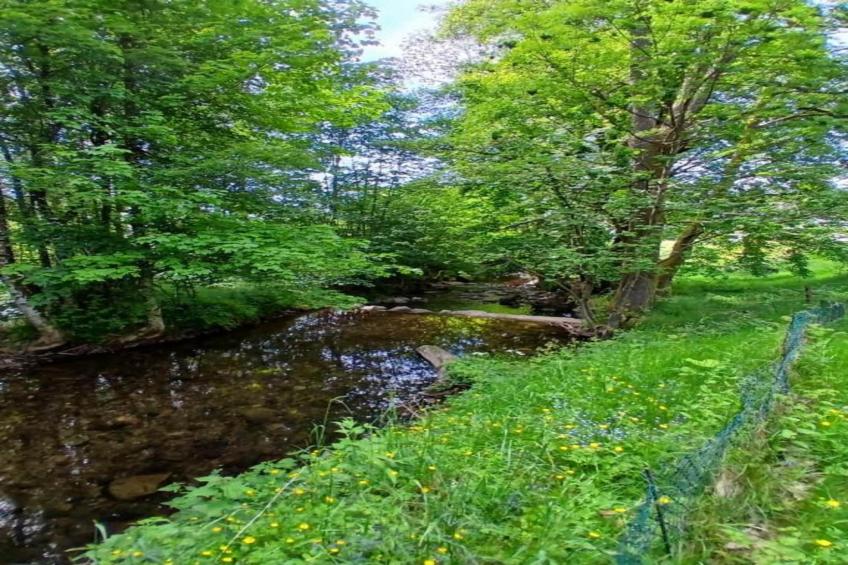 La Coccinelle - foto 28