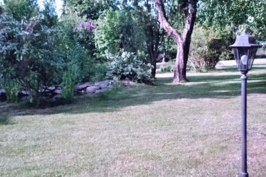 in Bernsfeld mit großem Garten - foto 23