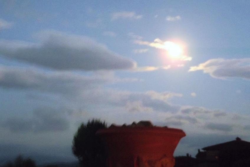 Flache Linde - foto 54