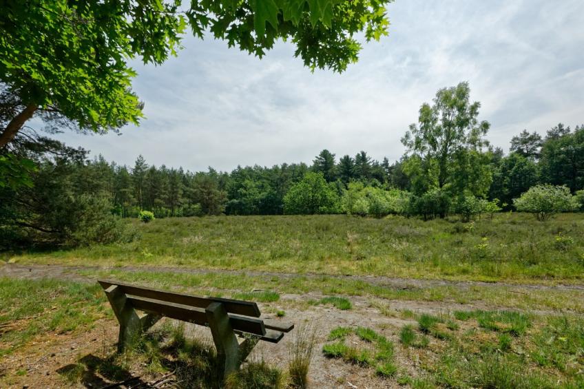 Landgoed Ruighenrode - foto 40