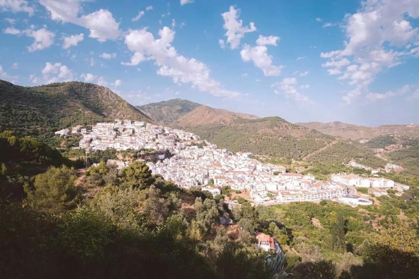 El Bosque de la Mairena - foto 24