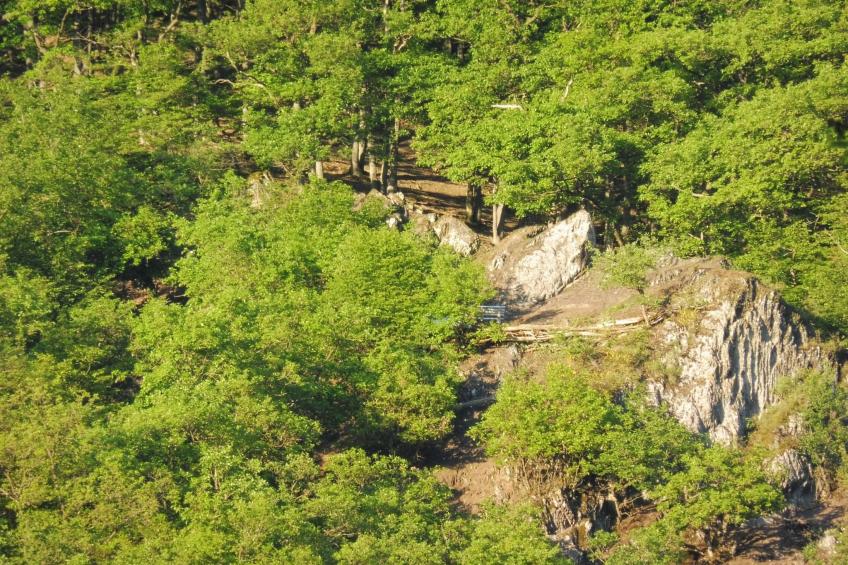 Chalet Wiedfluh in Waldbreitbach - foto 35