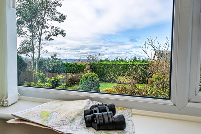 Cesail Y Mynydd - foto 12