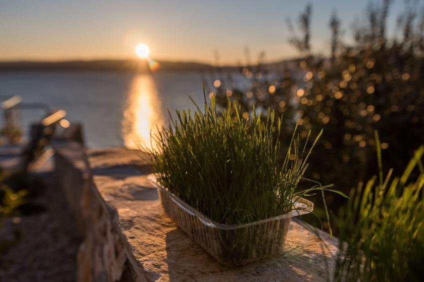 "Natura" direkt am Strand - foto 11