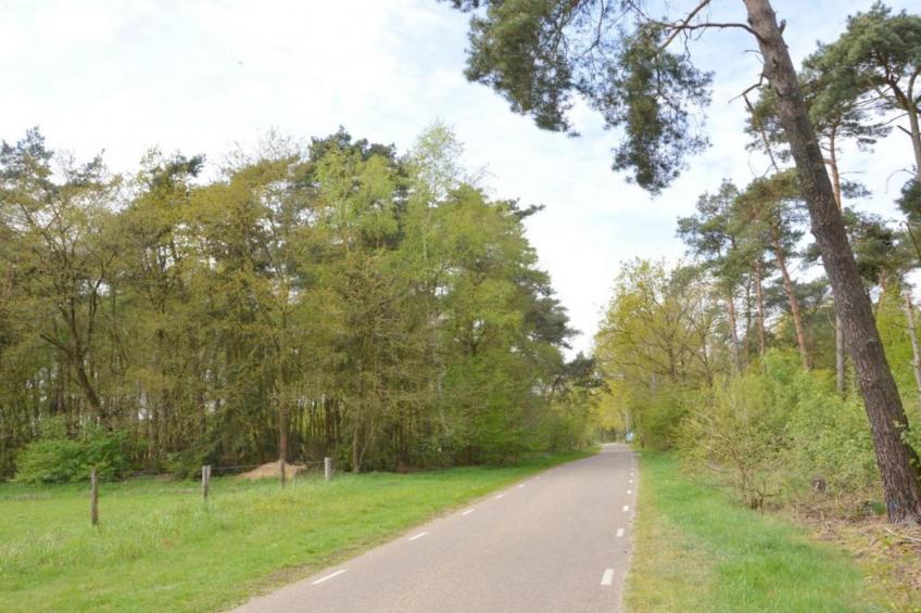 Villa Orzale - foto 31