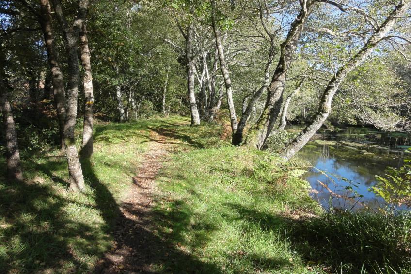 Casa Ribeira Sacra - foto 29