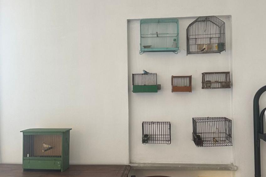 Vakantievilla 'Top Hill' - foto 24