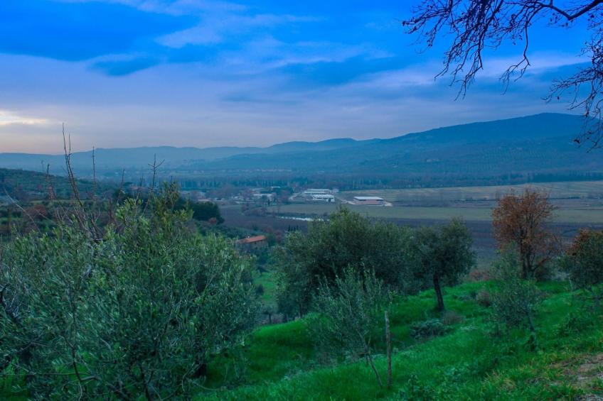 Renovierte Wohnung - foto 24