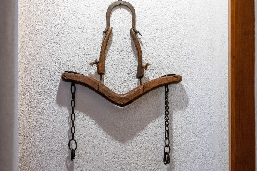 Cricerhaus in Visp - foto 16