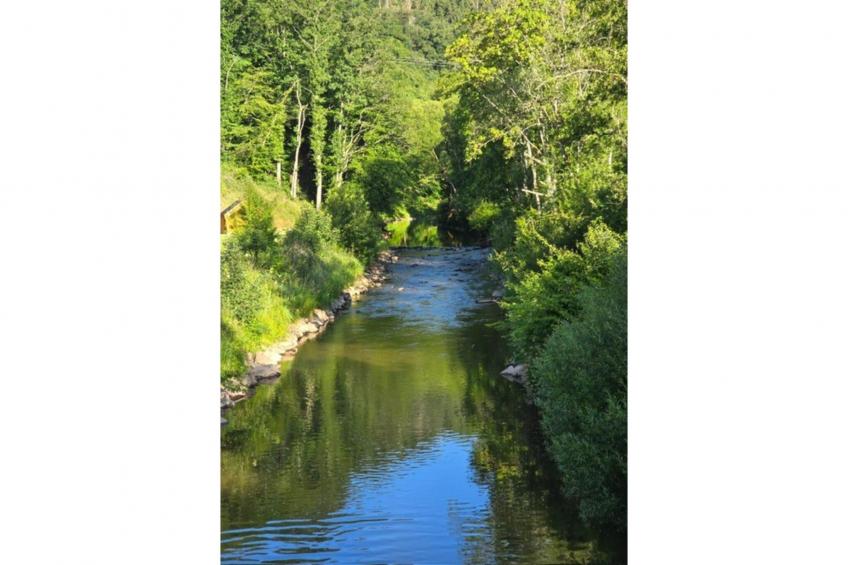 Eifelhütte Campingpark Eifel - foto 28