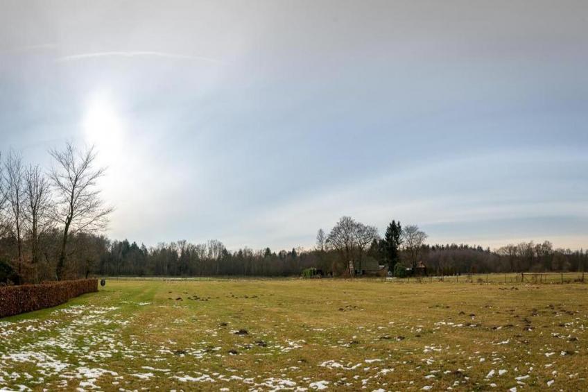 Bospark de Schaapskooi 10 - foto 37