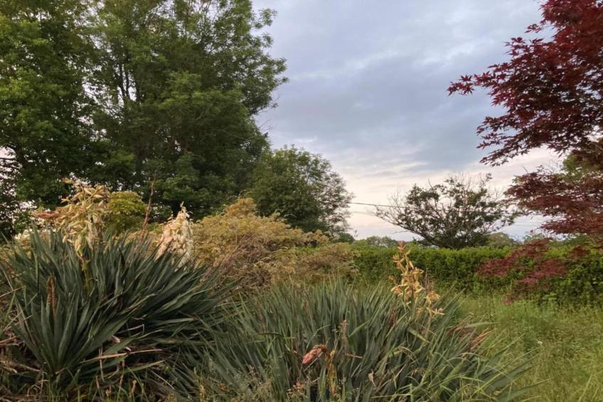 Apt Catharina 3 pers piscine partagée - foto 35