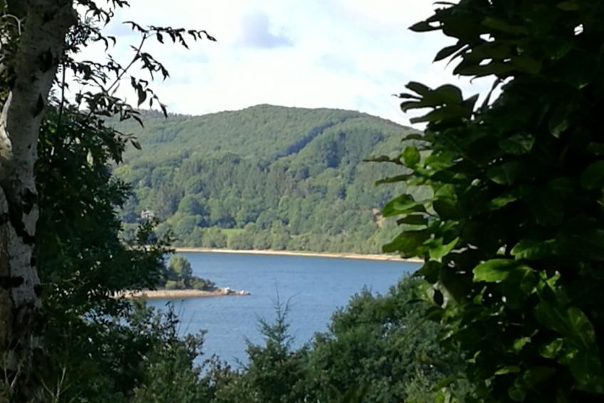 Chalet Zugang zum See zu Fuß 5MIN - foto 17