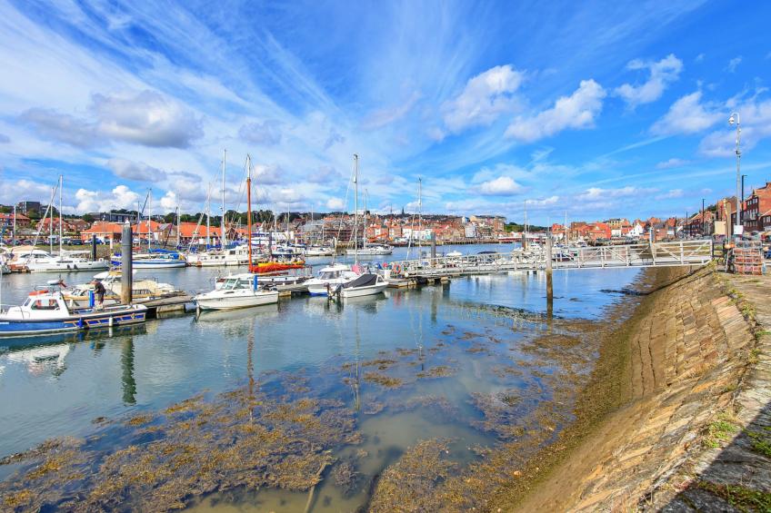 Ukulele Studio - foto 2