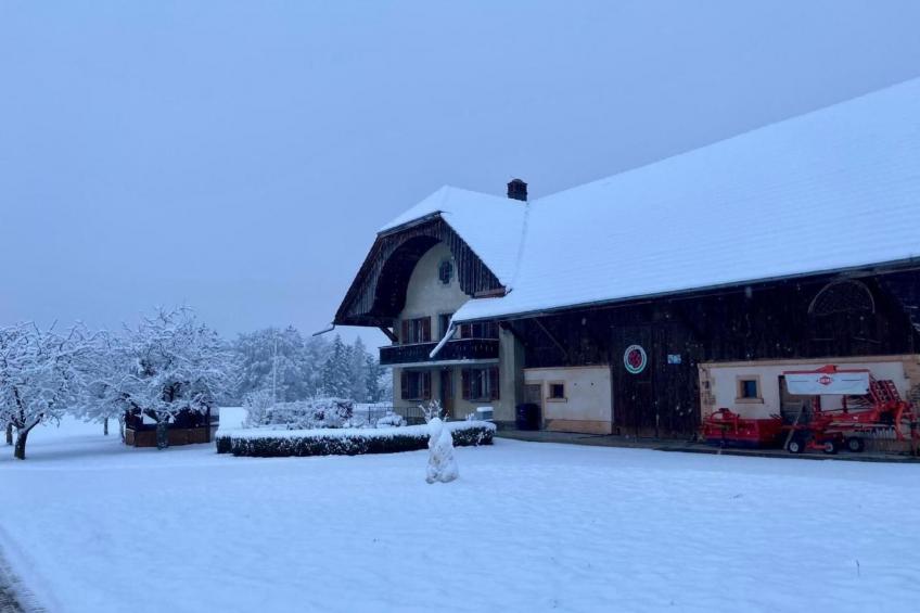 La Ferme - foto 5