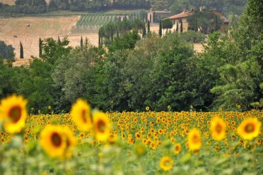 Agritourismus Val di Sterza - foto 18