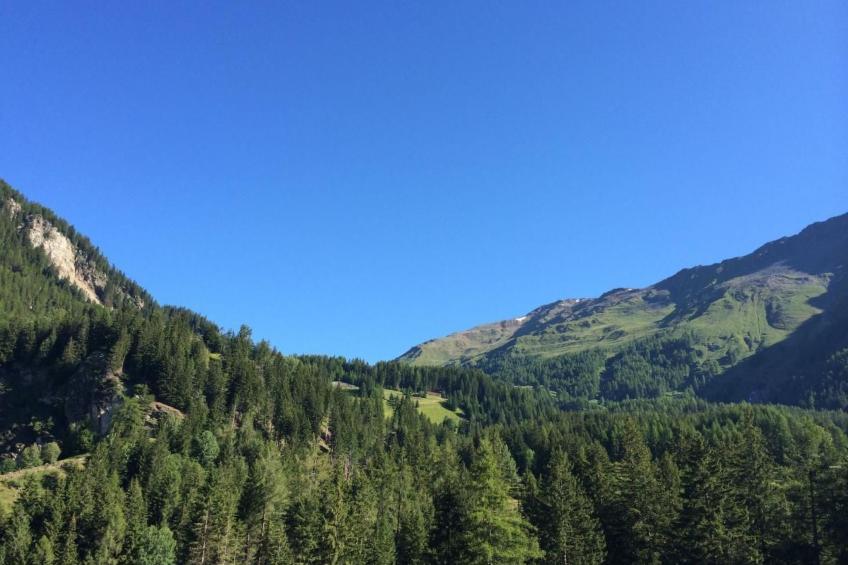 Charmantes 3.5 Zi Rustico - foto 19