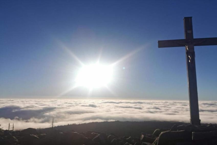 Holiday park Geyersberg Freyung-Appartement Typ A Standard - foto 16