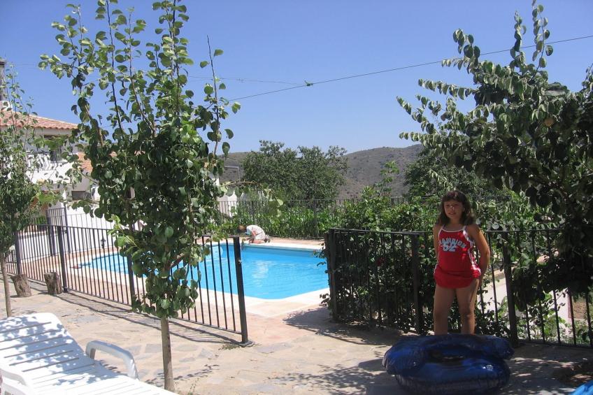 El Museo - foto 2