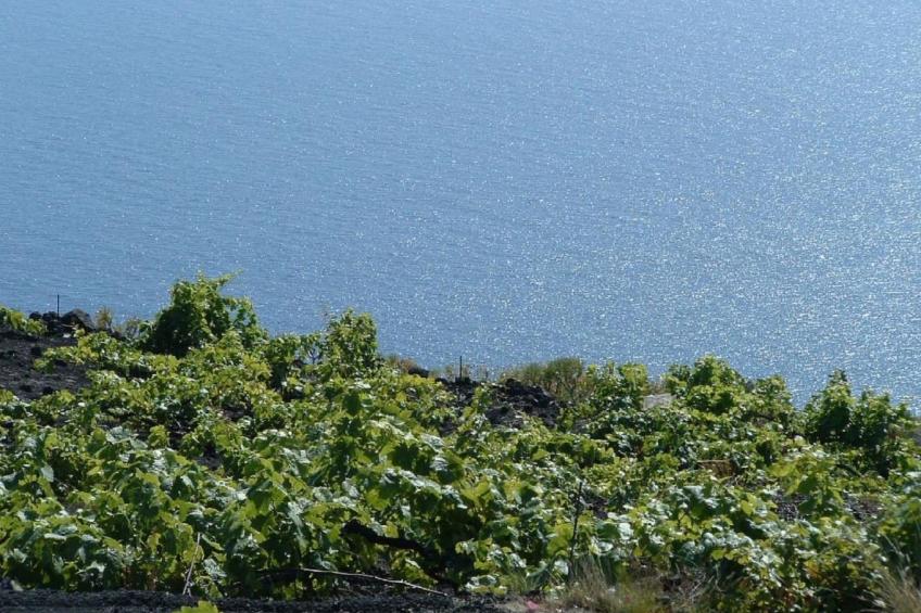 "Las Viñas" mit Wasserblick - foto 23