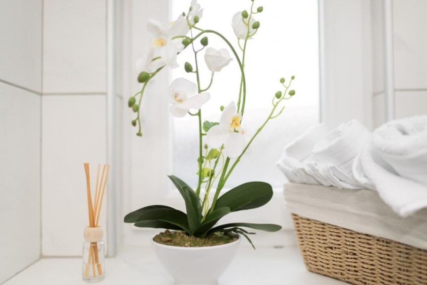 in Primošten mit privatem Pool - foto 25