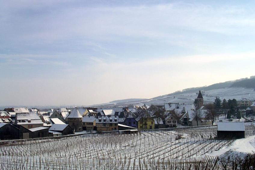 Med-Face Vosges,im Süden,im Herzen der Weinberge,Ruhig,WiFi - foto 38