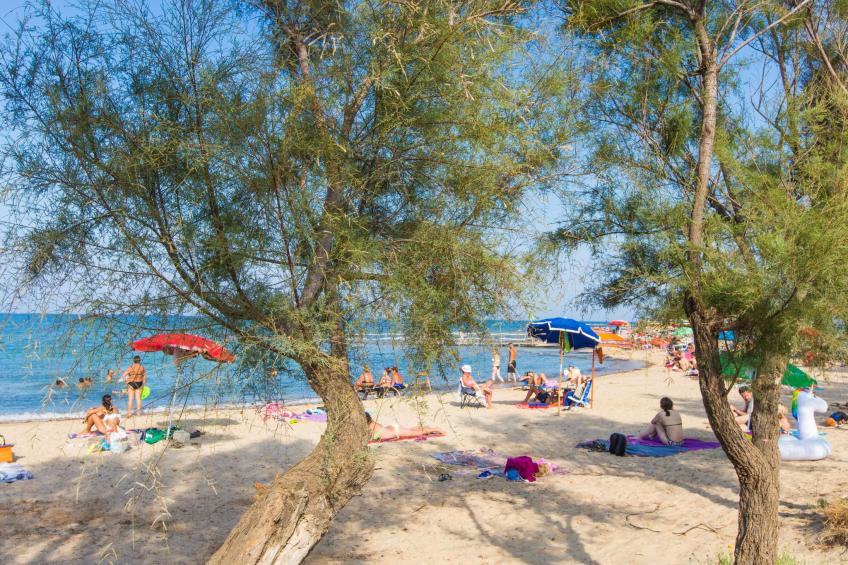 Villa Ferreri in der Nähe der Strände - foto 21