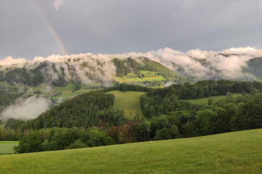 Ma Petite Fontaine - foto 25