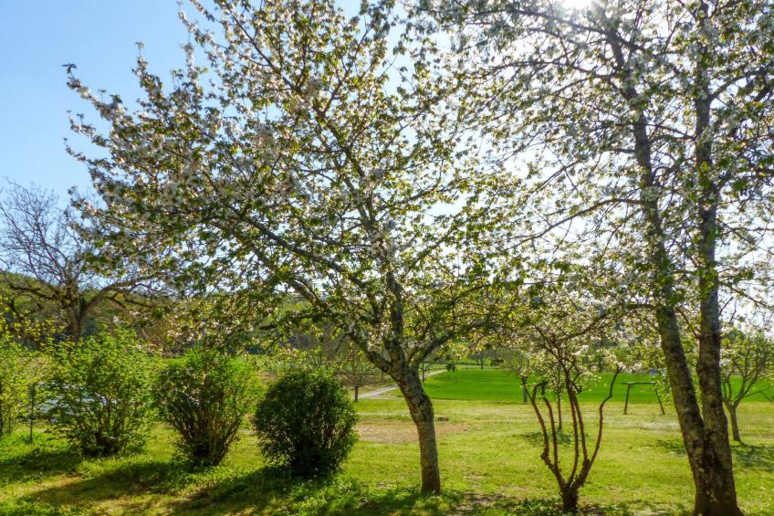 Ehemaliger Bauernhof Le Bonheur in Sainte-Mondane - foto 32