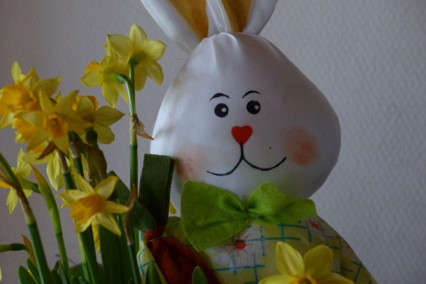 Domäne mit Terrasse, Grill und Garten - foto 30