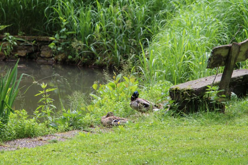 Ferienvilla mit eigener Sauna - foto 36