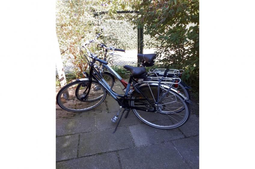 De Zilvermeeuw - foto 38