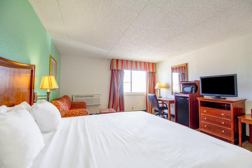 King Room - foto 23