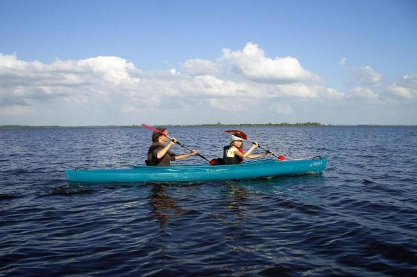 De Scholekster - foto 39