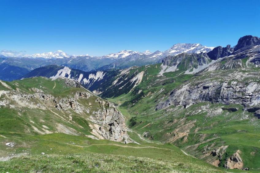 Chez Dominique - foto 31