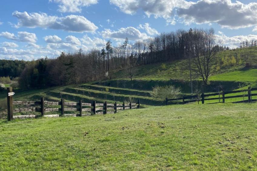 Alte Dorfschule - foto 49