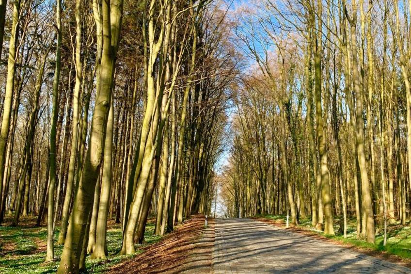 Moderne 2-Zimmer Ferienwohnung - foto 43