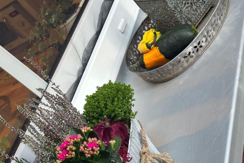 Altes Korbmacherhaus - foto 29