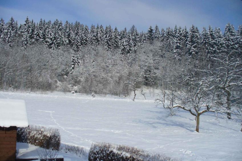 Vakantiewoning in het skigebied - VW-YCPK - foto 30