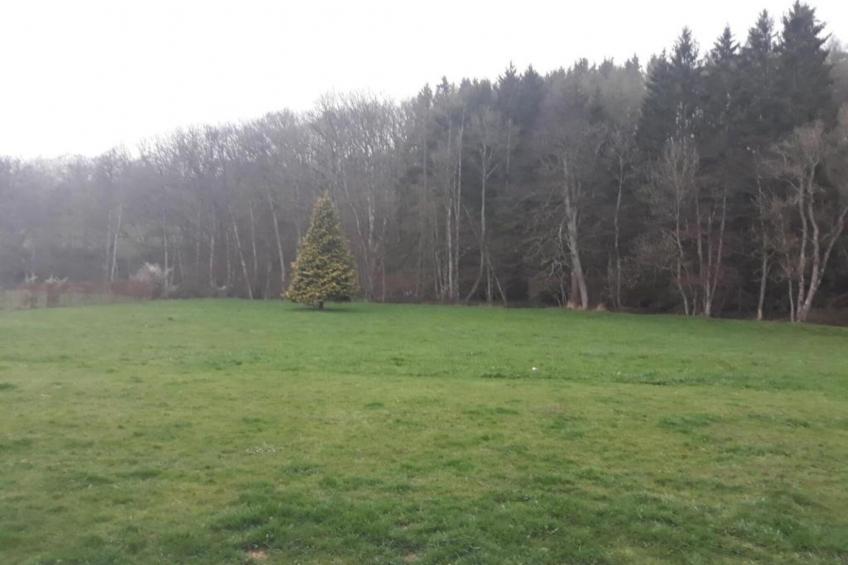 Les Genets - foto 35