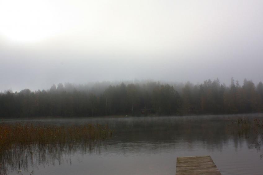 "Ruhmaslehto" mit Blick auf das Wasser - foto 42