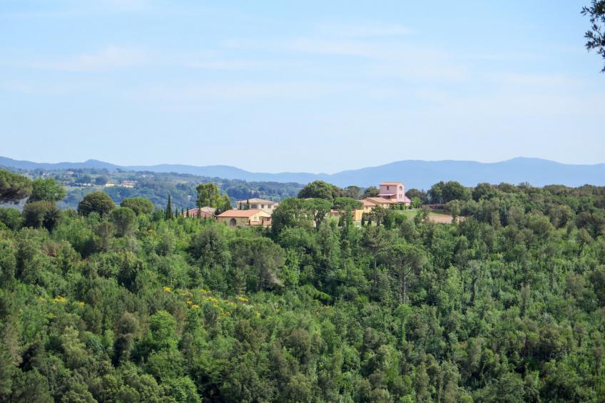 Il Felciaione - foto 23
