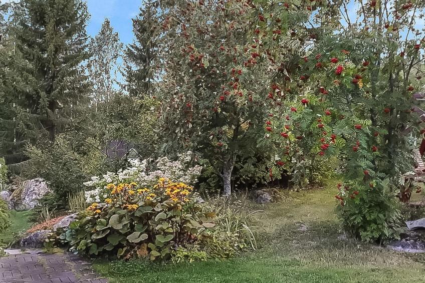 Paasirinteen lomakoti - foto 16