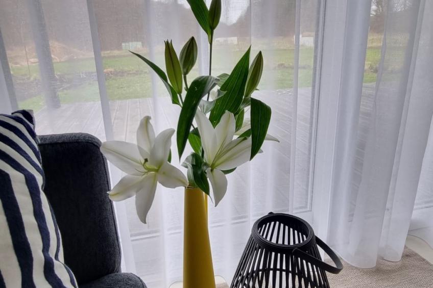 Lublewo21 Ferienhäuser - foto 9