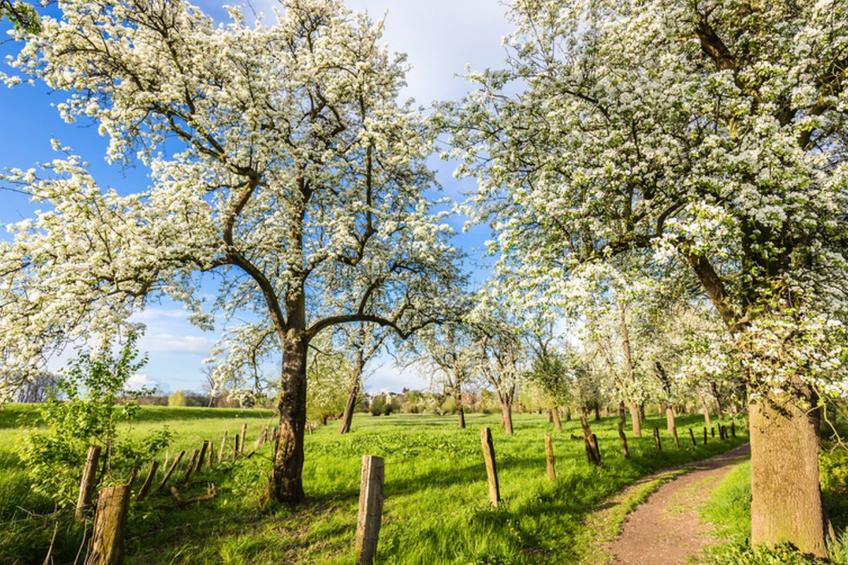 Ruhiges Landhaus mit zwei gemütlichen Wohnungen - foto 4