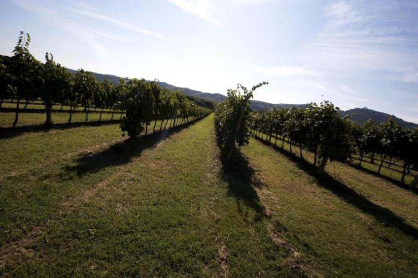 Appartamento Le Colline - foto 36