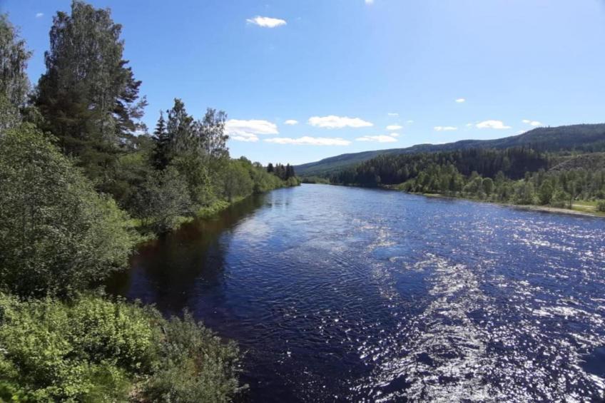 Letafors Herrgård - foto 25