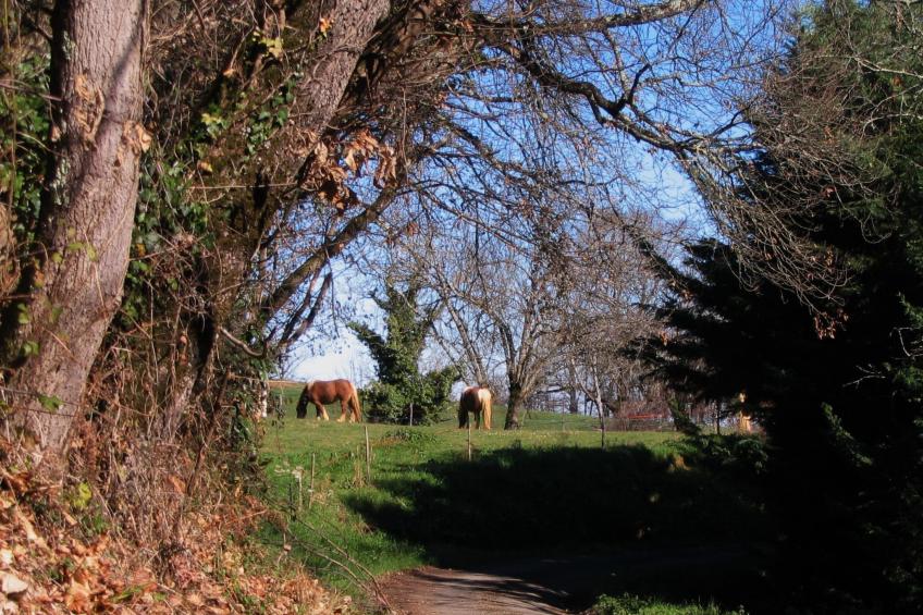 in Sarraguzan mit Privatem Pool - foto 22