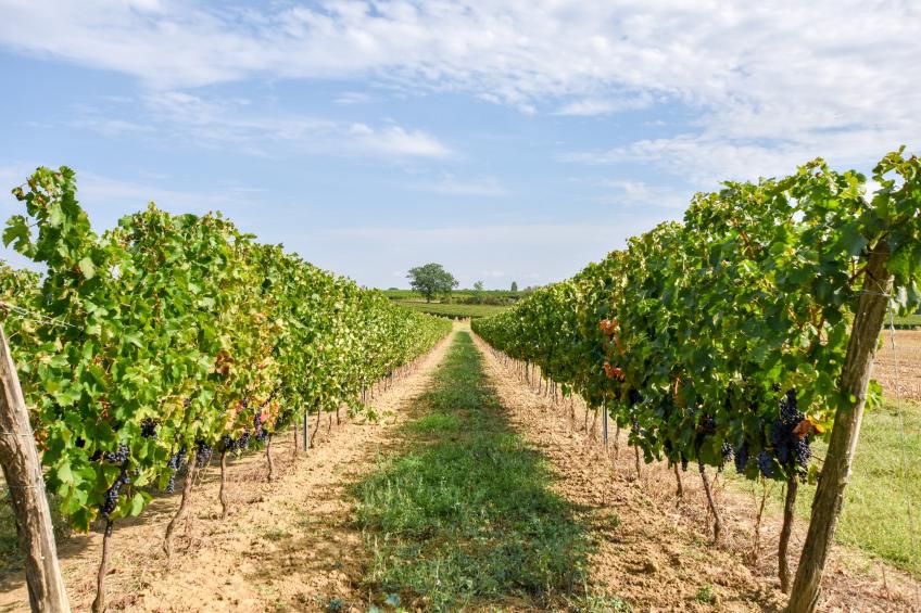 Gîte avec piscine privée belles vues - foto 23