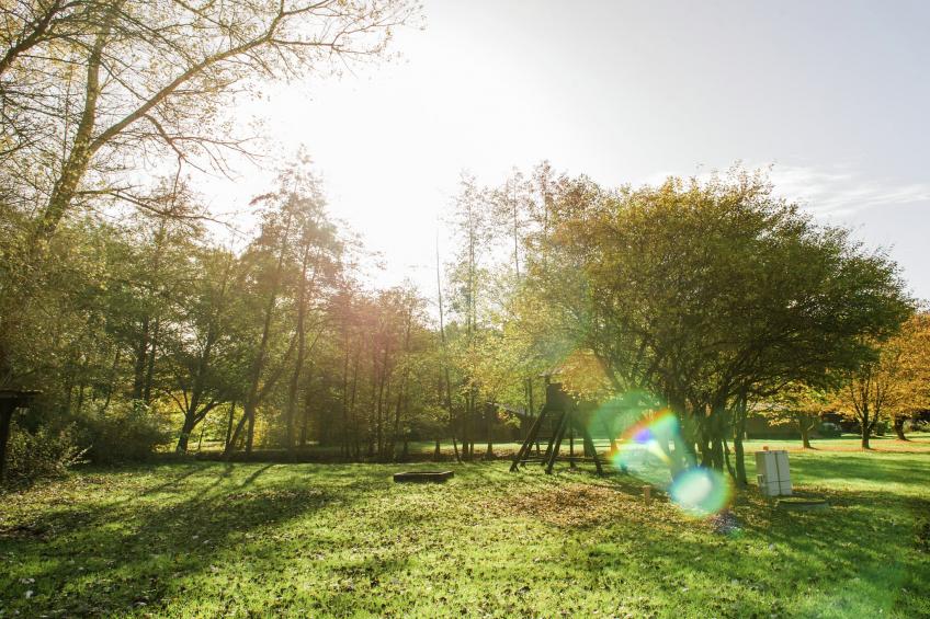 Lüneburger Heide - foto 40
